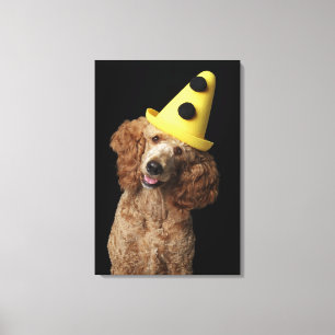 Impressão Em Tela Cão de caniche dourado que veste um chapéu amare