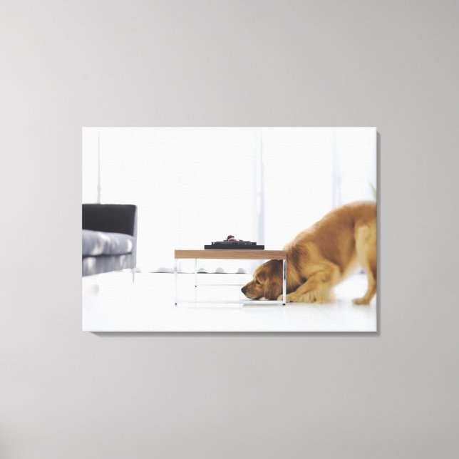 Impressão Em Tela Cão e mesa (Frente)