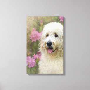 Impressão Em Tela cão louro do goldendoodle no jardim