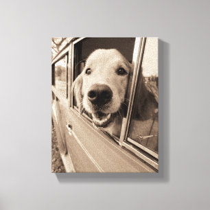 Impressão Em Tela Cão que espreita para fora uma janela de carro