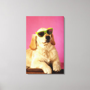 Impressão Em Tela Cão que veste óculos de sol