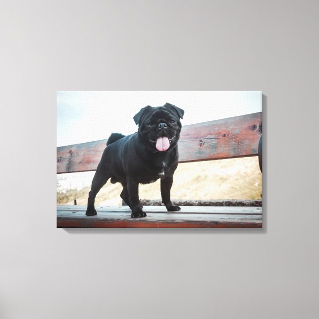 Impressão Em Tela Cãozinho engraçado (Frente)