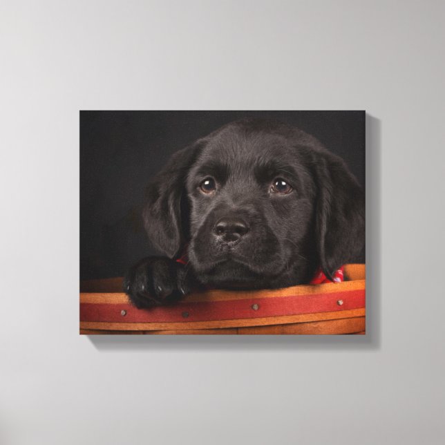 Impressão Em Tela Cãozinho labrador preto no cesto (Frente)