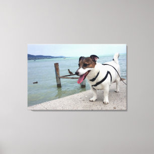 Impressão Em Tela Capo von Oppenheim, Jack Russell Terrier Dog