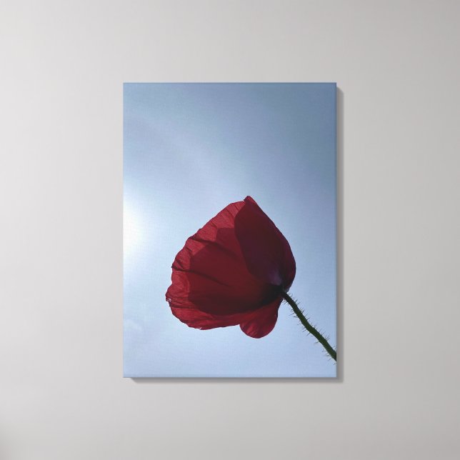 Impressão Em Tela Capoila-vermelha-da-índia com céu de cinza (Frente)