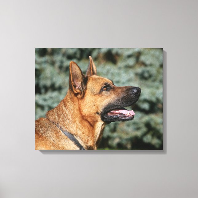 Impressão Em Tela Captura de german shepherd 1 (Frente)