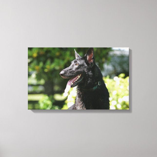 Impressão Em Tela Captura de german shepherd 2 (Frente)