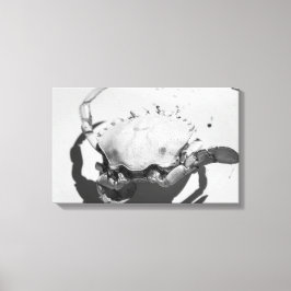 Impressão Em Tela Caranguejo Oceânico Monocromático Negro E Branco