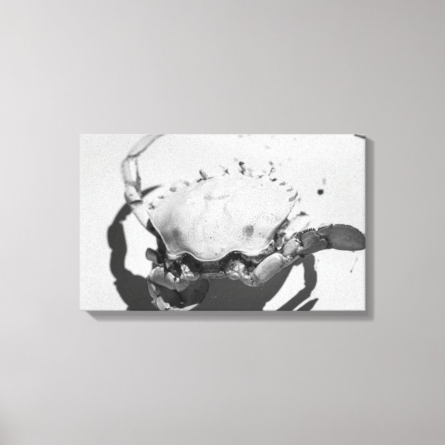 Impressão Em Tela Caranguejo Oceânico Monocromático Negro E Branco (Frente)