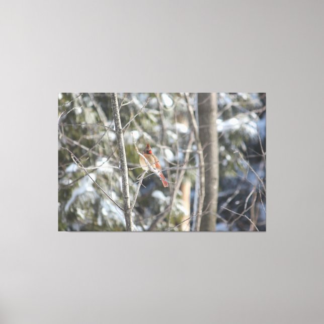 Impressão Em Tela Cardinal das mulheres gélidas (Frente)