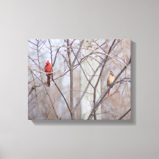 Impressão Em Tela Cardinal family