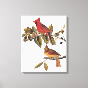 Impressão Em Tela Cardinal Grosbeak Birds Audubon Vintage Art