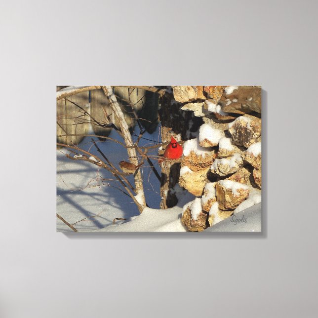 Impressão Em Tela Cardinal na Neve (Frente)
