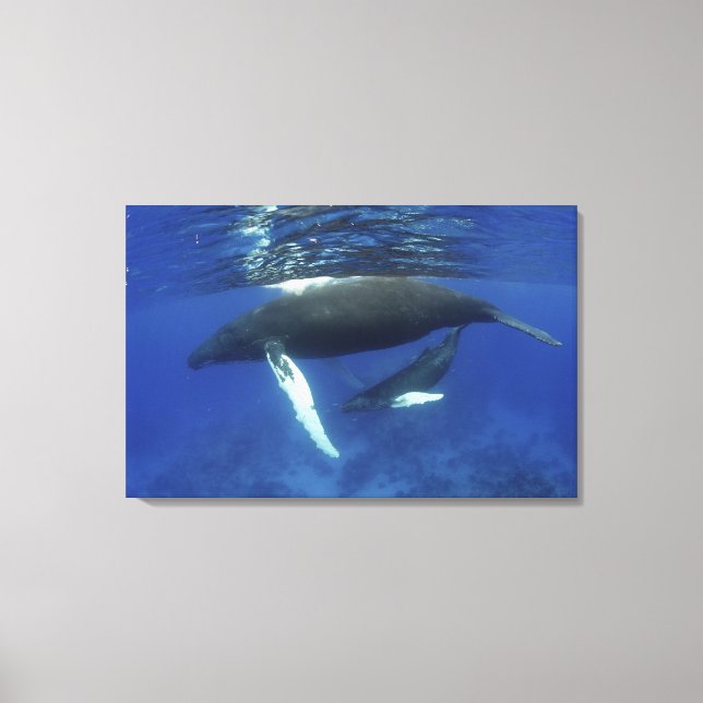 Impressão Em Tela Caribe, arquipélago das maiores Antilhas, (Frente)