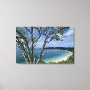 Impressão Em Tela Caribe, Ilha de Anguilla, Porto da Baía da Estrada
