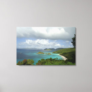 Impressão Em Tela Caribe, Ilhas Virgens Americanas, St. John, Tronco