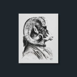 Impressão Em Tela Carneiro De Cabra<br><div class="desc">Animais e Natureza</div>