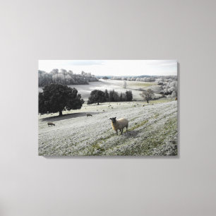 Impressão Em Tela Carneiros em um vale gelado