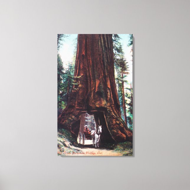 Impressão Em Tela Carruagem viajando sob uma Sequoia Gigante (Frente)