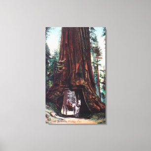 Impressão Em Tela Carruagem viajando sob uma Sequoia Gigante