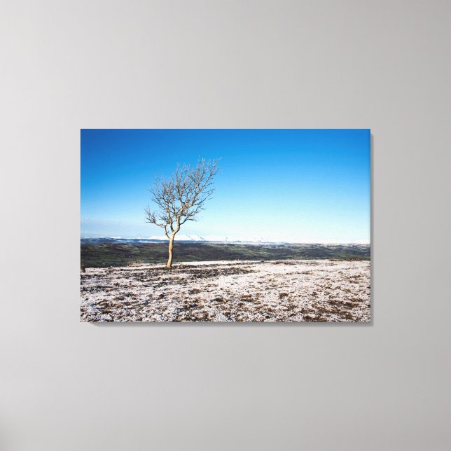 Impressão Em Tela Cartão de Feriado da Cicatriz de Escoteiro (Frente)