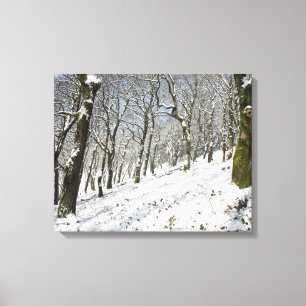 Impressão Em Tela Cartão de inverno para a Floresta de Macclesfield