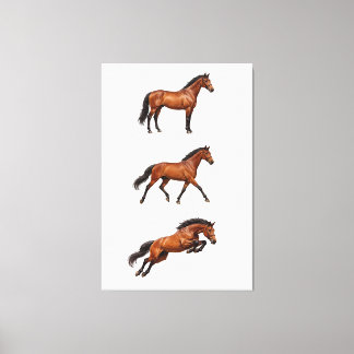 Impressão Em Tela Cartaz de Arte de Parede de Cavalo Marrom Elegante