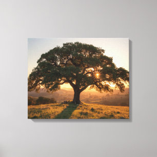 Impressão Em Tela Cartaz do Lone Oak Hill Country - Paisagem do Texa