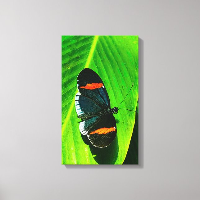 Impressão Em Tela Carteiro Vermelho (Frente)