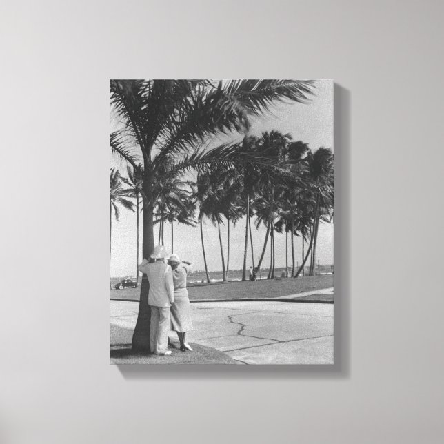 Impressão Em Tela Casal em árvore (Frente)