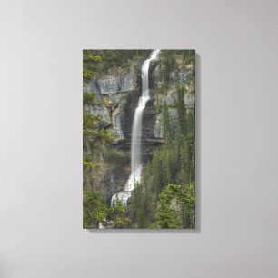 Impressão Em Tela Cascata