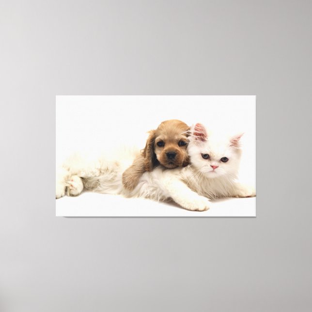 Impressão Em Tela Cat e Puppy (Frente)
