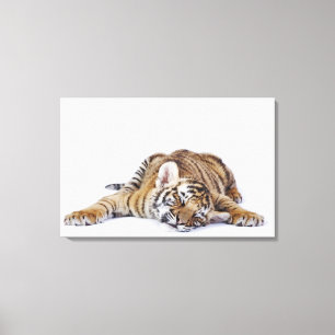 Impressão Em Tela Cativo, África do Sul 2