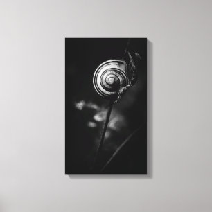 Impressão Em Tela cauda do caracol