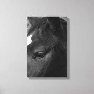 Impressão Em Tela Cavalo 11x16,5 (27,5x41,25cm)