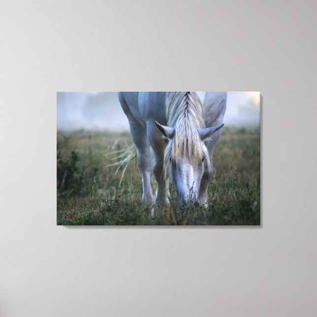 Impressão Em Tela Cavalo Branco (Frente)