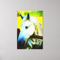 *~* Cavalo branco sobre cerca AR22 equino