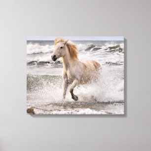 Impressão Em Tela Cavalo Camargue saindo da arrebentação