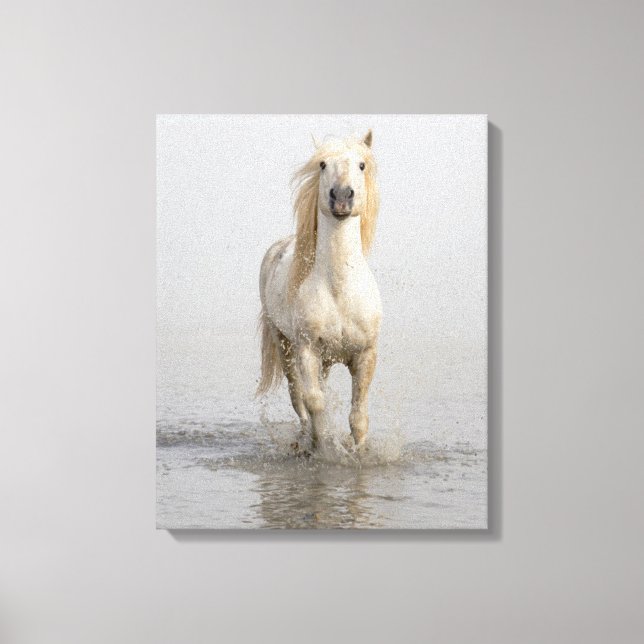 Impressão Em Tela Cavalo de Camargue Correndo na Água (Frente)