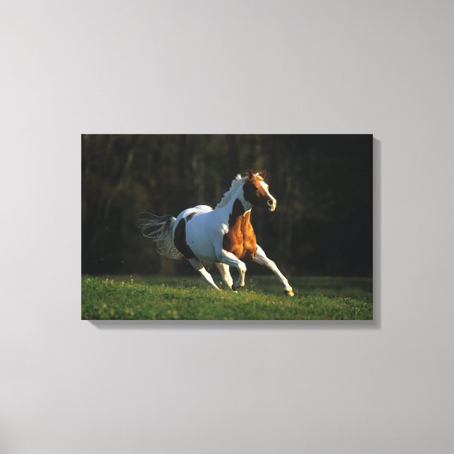 Impressão Em Tela Cavalo de Tinta em Execução Rápida (Frente)
