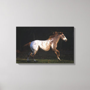 Impressão Em Tela Cavalo do Appaloosa que funciona 4