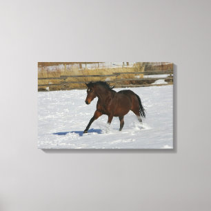 Impressão Em Tela Cavalo do puro-sangue que funciona na neve