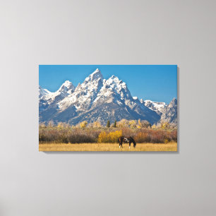 Impressão Em Tela Cavalo e Grand Tetons, Moose Head Ranch