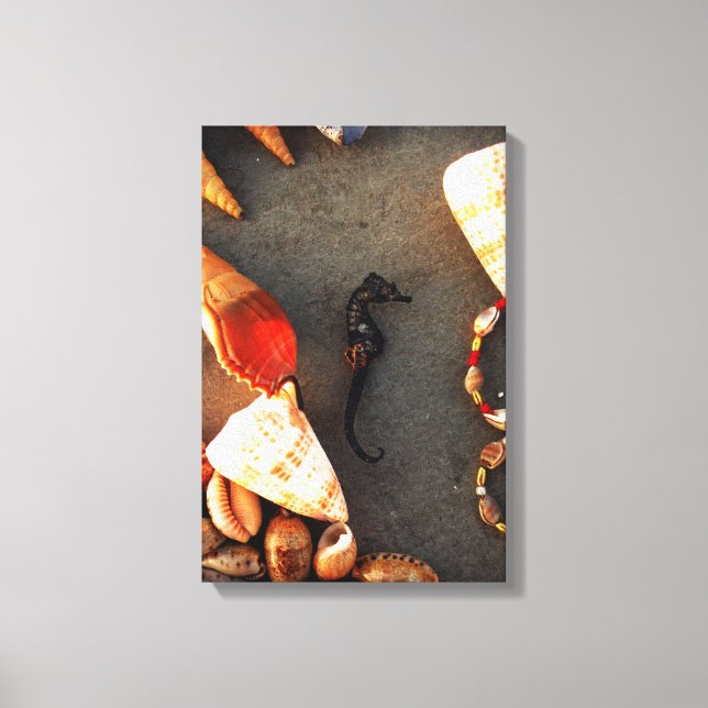 Impressão Em Tela Cavalo-Marinho (Frente)