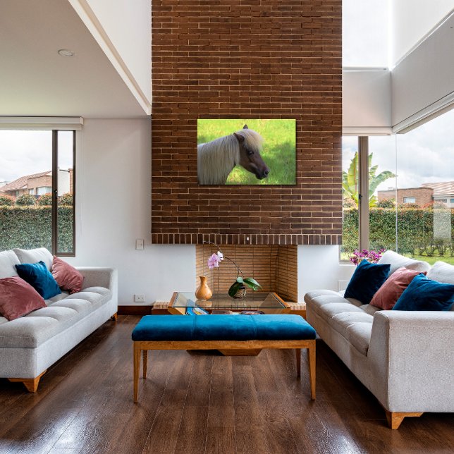 Impressão Em Tela Cavalo Miniatura Castanho com Mana Loura (Criador carregado)