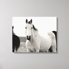 Impressão Em Tela Cavalo Negro e Branco nas Colinas Flint