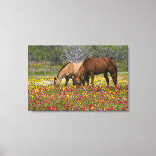 Impressão Em Tela Cavalo Quarto de Milha em campo de flores silvestr