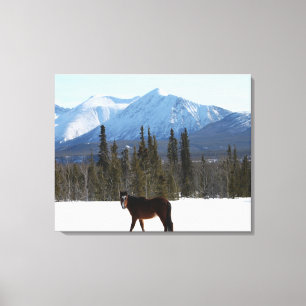 Impressão Em Tela Cavalo selvagem na estrada de Alaska