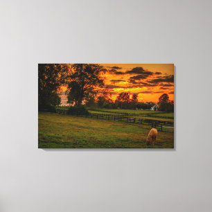 Impressão Em Tela Cavalo solitário ao pôr do sol