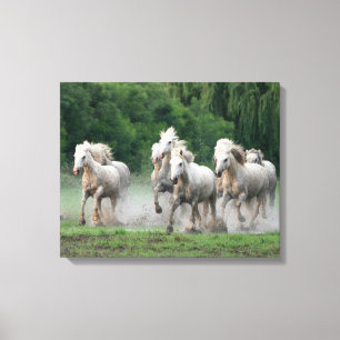 Impressão Em Tela Cavalos Camargue Correndo na Água